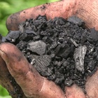 Biochar