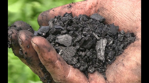 Biochar